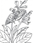 swallowtail fairy coloring page