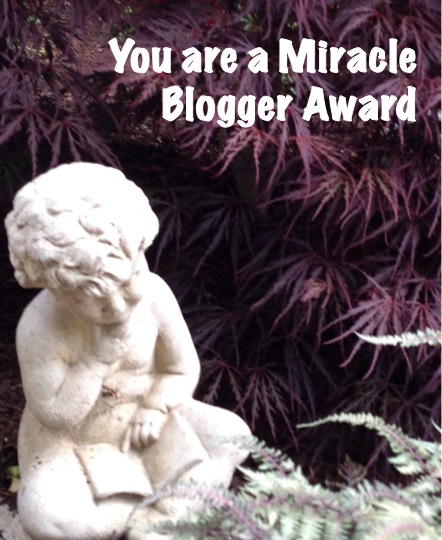You are a Miracle Blogger Award