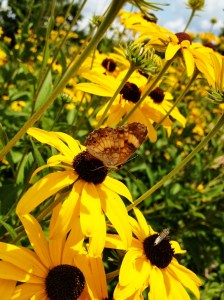 Photograph by Heather's Photography