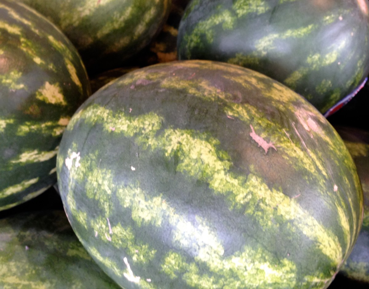 watermelon