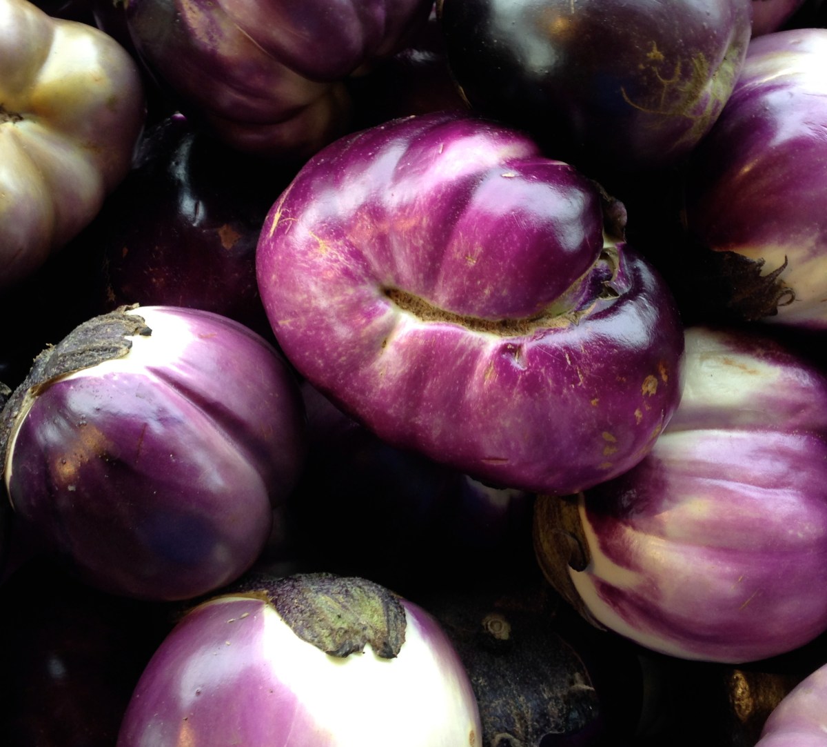 eggplant