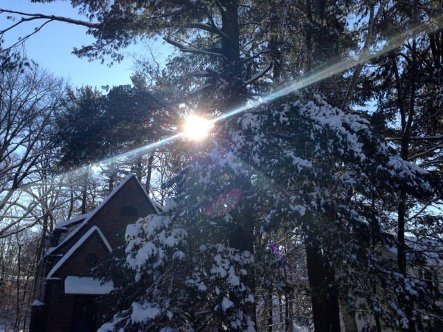 Winter Sunshine