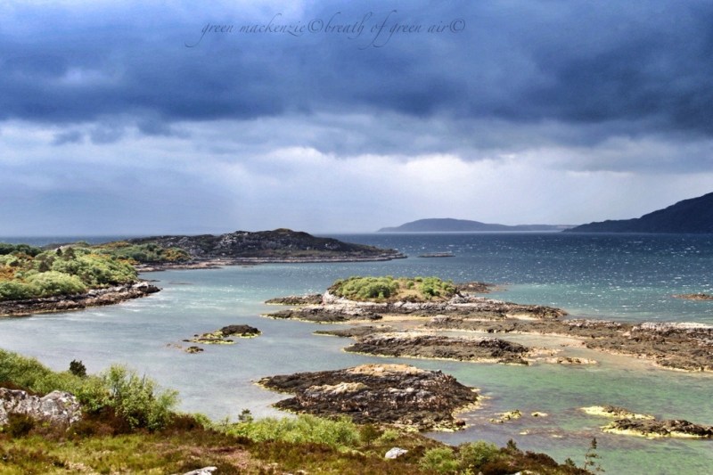 sea horses from Frith-Ard, Plockton