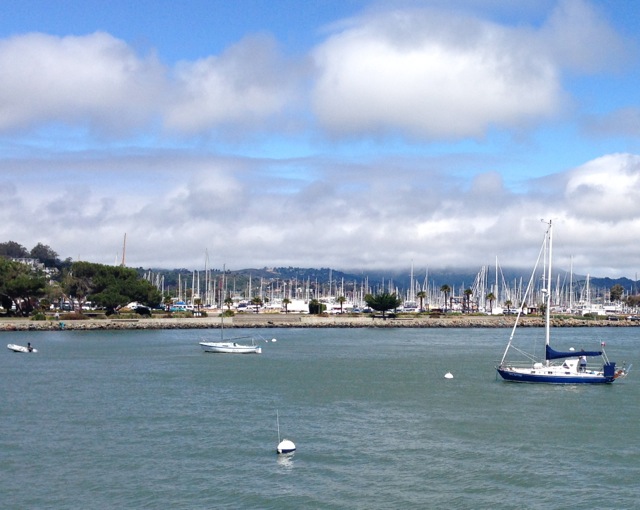 Sausalito Marina from Ferry to SF