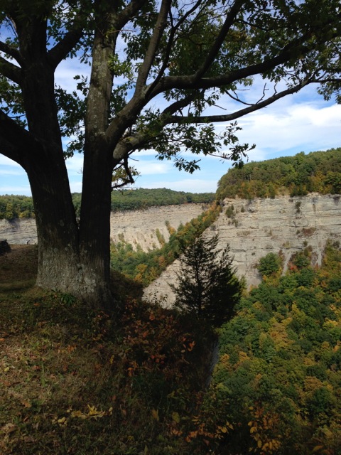 Genesee River, Letchworth State Park, New York