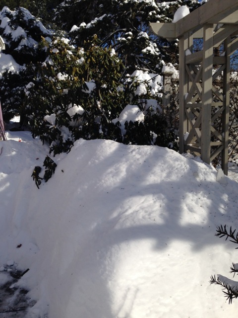 Gate shadows on snow