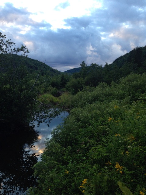 Sky reflected in wetlands