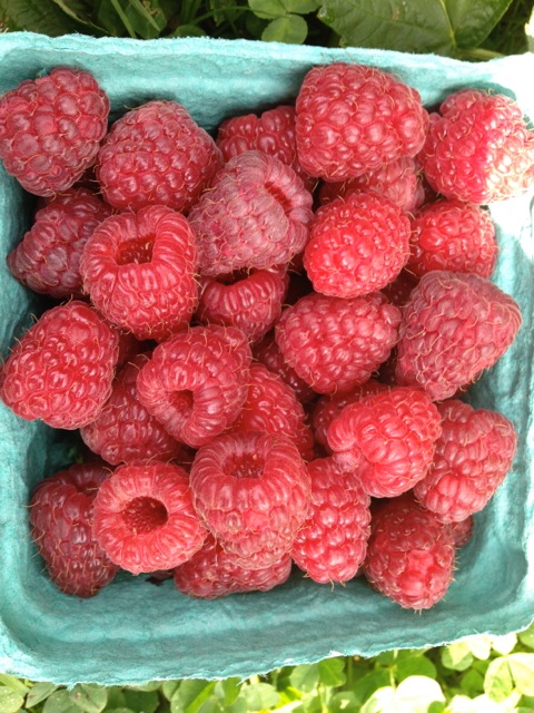 raspberries