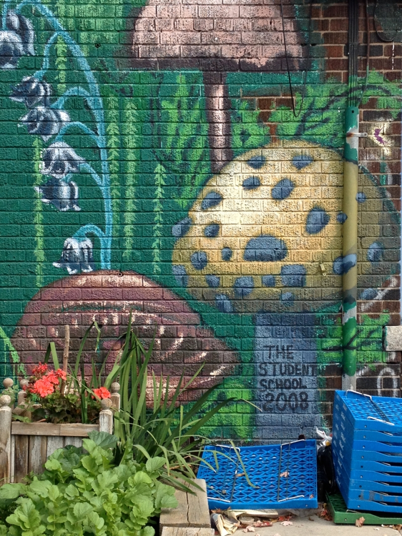 Mushrooms and title of Fairyland Mural reading "The Student School 2008"
