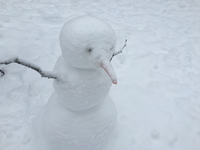 Small snow man with carrot nose and backstretches stick arms, all dusted with new snow