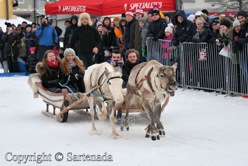 reindeer_driving_competition_-14