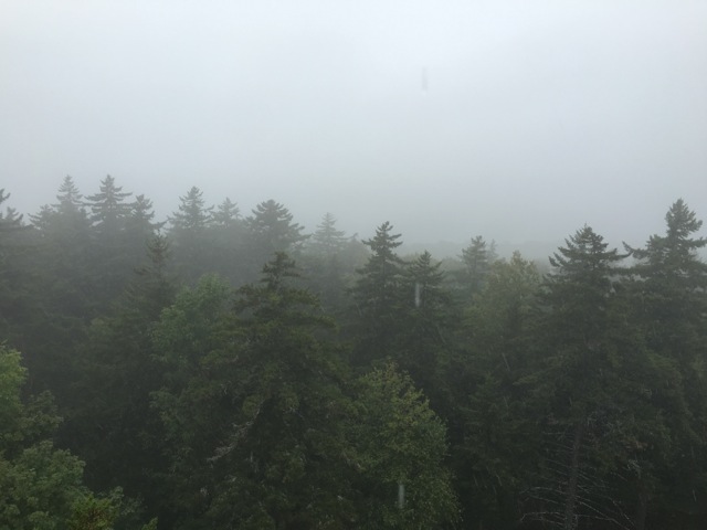 Allis State Park, Vermont, from the Fire Tower, rainy day