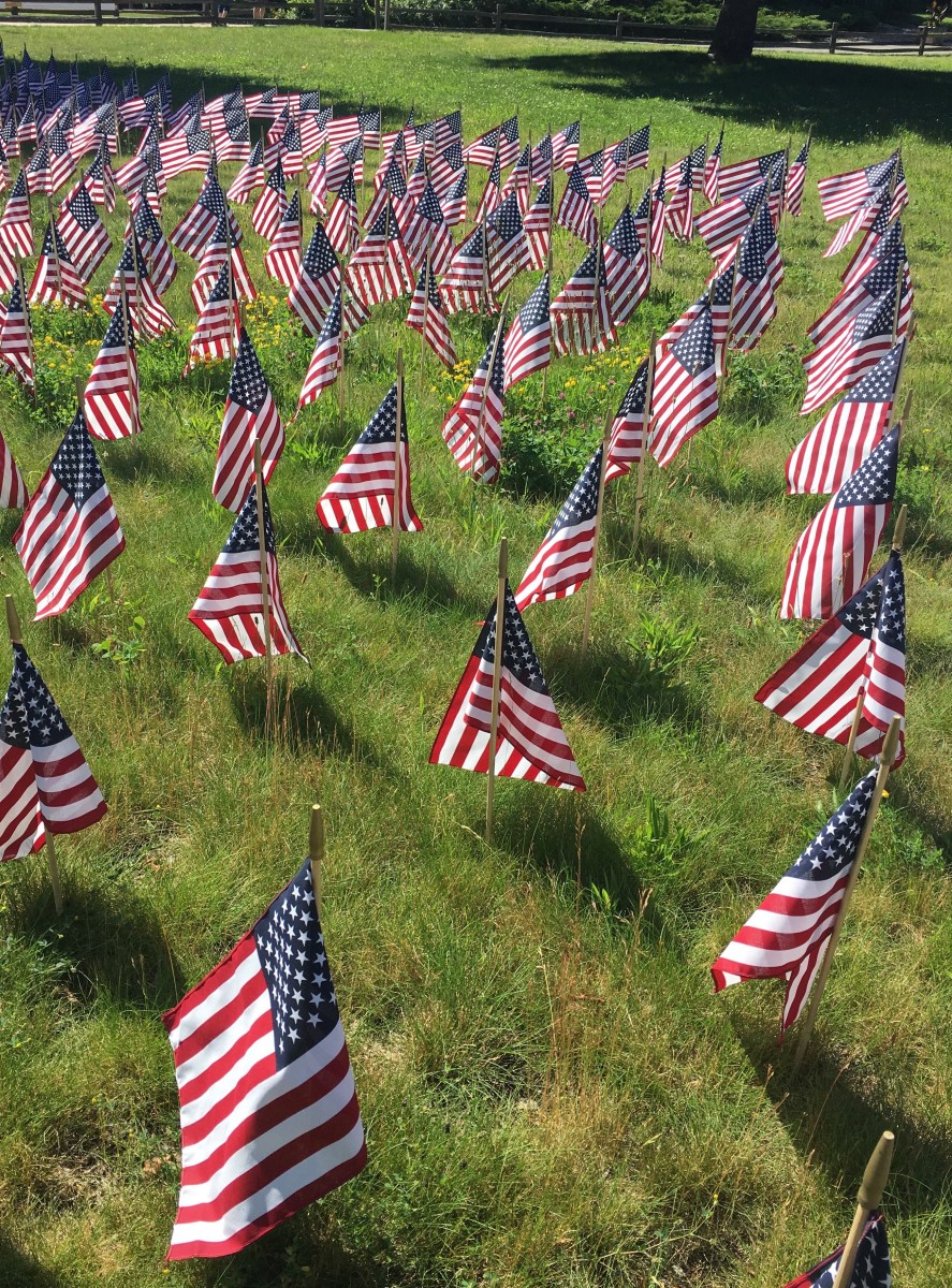 Green Field with small flags casting long shadows