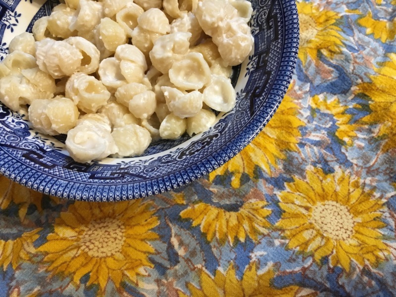 Cheesy shells in a blue bowl