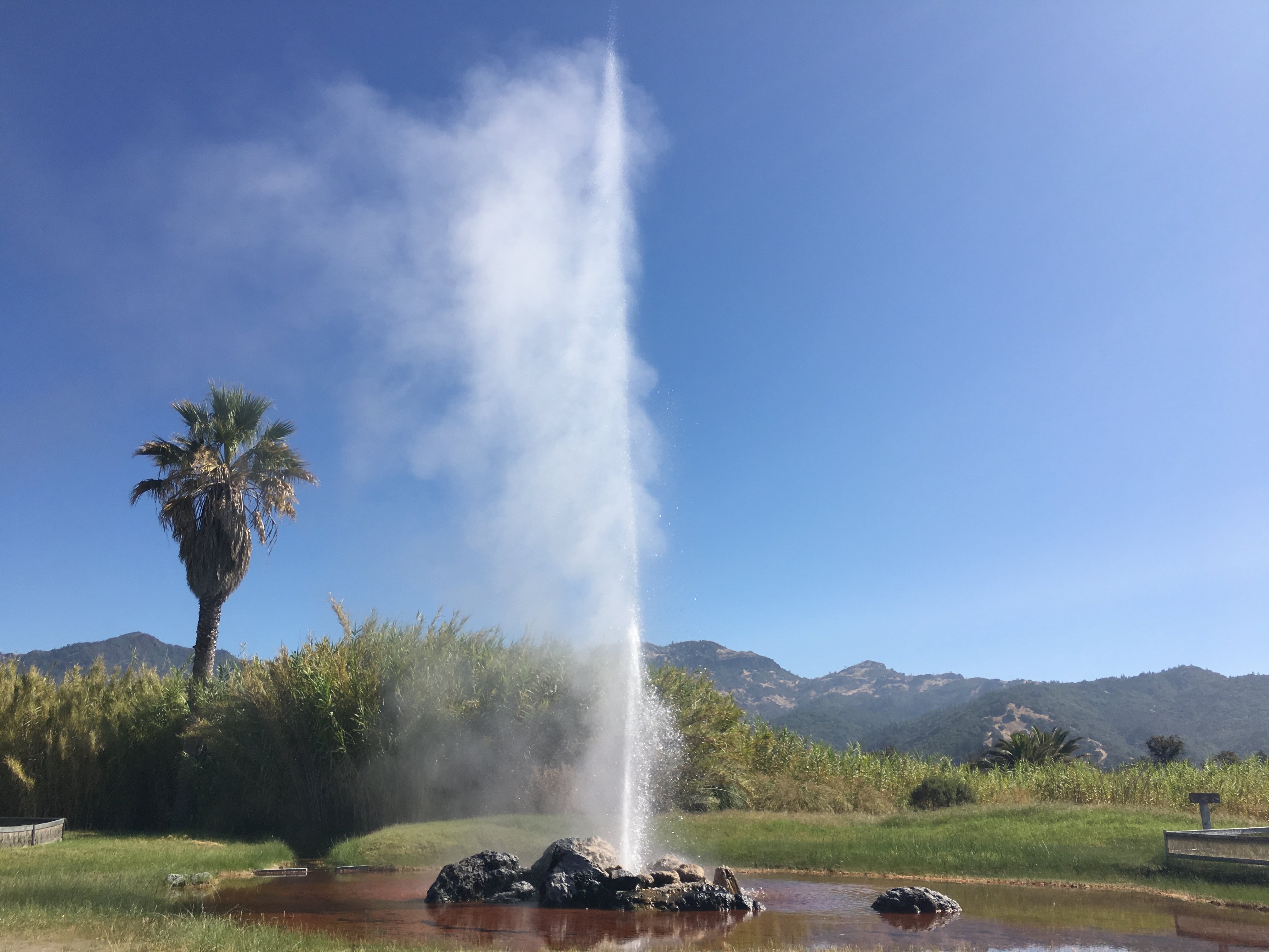 Old Faithful Geyser of California